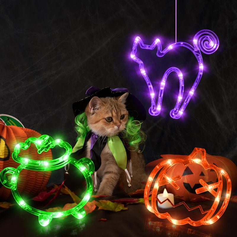 Battery halloween lights online